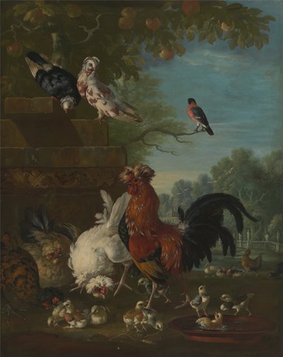 Gallo domestico, galline e pulcini in un parco da Peter Casteels